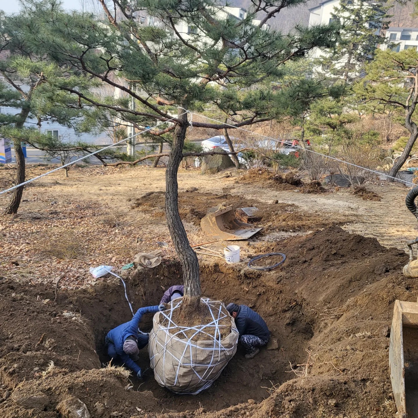 경기도 광주시 오포읍 / 조경